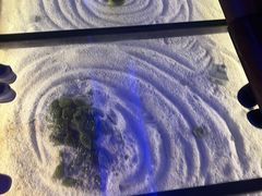 -京料理·日料自助·铁板燒(复悦城店)