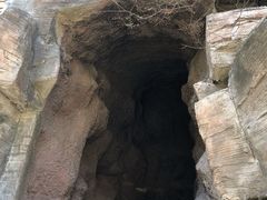 -圣莲山风景区