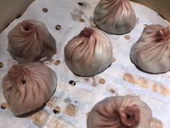 东坡肉肉小笼包-苏小柳点心·手作小笼包(新街口分院店)