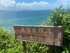 -杨梅坑