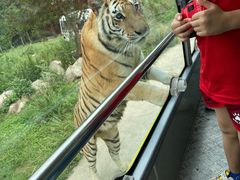 -西安秦岭野生动物园