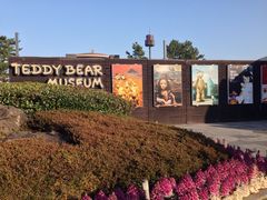 -济州岛泰迪熊博物馆