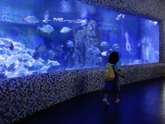 -成都浩海立方海洋公园