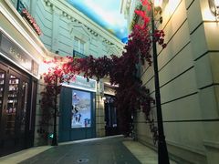 -花之城
