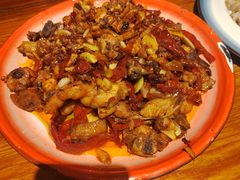 -柴窝堡22号辣子鸡·传承新疆菜