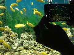 -泉州海丝野生动物世界