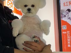 -宠物家(角门东店)