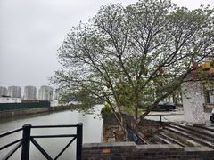-云间粮仓