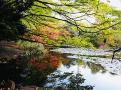-北海道厅旧本厅舍(旧本庁舎)