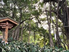 -乌山风景区