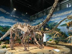 -自贡恐龙博物馆