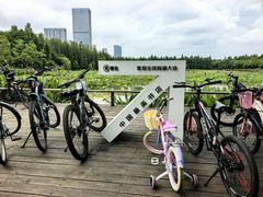 -艾溪湖湿地公园
