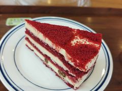-有猫主题·治愈系猫咖(曾厝垵店)