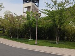 -湘湖金融镇