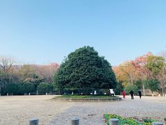 -灵谷景区