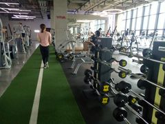 -GYMCARE VIVA(金开店)