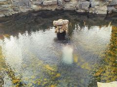 -恭王府博物馆