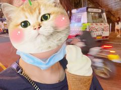-富豪雪糕车流动点(尖沙咀店)
