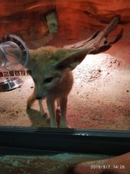 -酷嗒动物文化乐园(cutezoo西溪乐天城店)