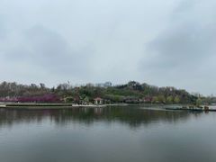 -山东理工大学