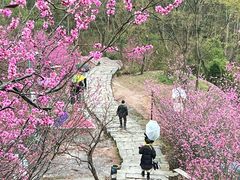 -天台山赤城山景区