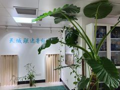 -北京天域联达耳机店(财智国际大厦店)