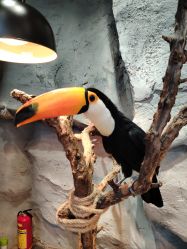 -Zoolung Zoolung动物主题公园(海信广场店)