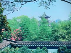 -观潮胜地公园