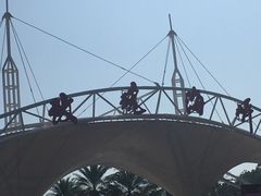 -玫瑰海岸文化旅游度假区