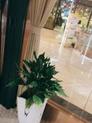 点击看大图 -苑苑vbeauty科技美容SPA