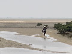 -北海金海湾红树林生态旅游区