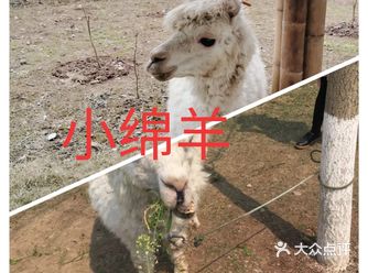 周末休息的时候，不仅是大人带着小孩一起来到这边玩