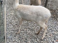 -常州淹城野生动物世界