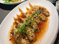 -粤凤佬