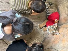 -长鹿旅游休博园