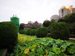 -四川大学华西口腔医院(华西院区)
