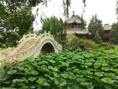 -莲池书院博物馆