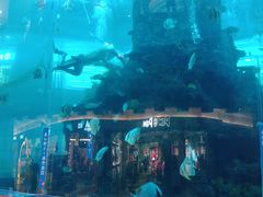 -鸿通城购物中心