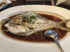 -富力威斯汀酒店-中国元素中餐厅(武昌临江店)