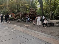 -西湖外事游船(湖滨二公园外事游船码头)