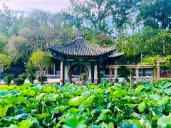 -莲湖公园