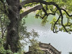 -蒋氏故居