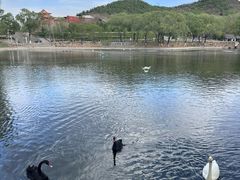 -石家庄市动物园