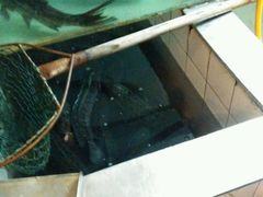 android_upload_pic-河洛鱼庄(古城路店)