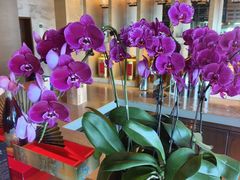 -无锡苏宁银河国际酒店-悦府65中餐厅