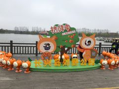 -上海长兴岛郊野公园