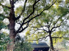 -惠山古镇·寄畅园