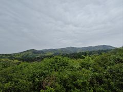 -北京鹫峰国家森林公园