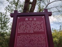 -零陵古城