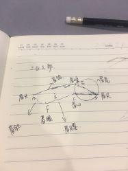 -BBK韩眉馆-正版半永久纹眉美瞳